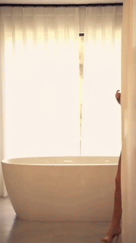 img41.gif